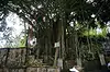 Pura Penataran Agung Lempuyang ● Bali