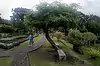 The Water Palace Tirta Gangga ● Bali