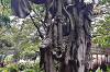 The Water Palace Tirta Gangga