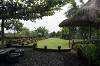 Rumah Pohon