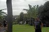 Rumah Pohon