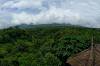 Rumah Pohon
