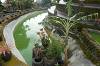 Rumah Pohon