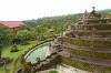 Rumah Pohon