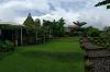 Rumah Pohon