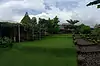 Rumah Pohon ● Bali