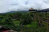 Rumah Pohon ● Bali