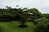 Rumah Pohon ● Bali