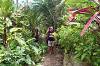 Les Waterfall Yeh Mempeh