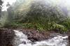 Sekumpul Waterfall