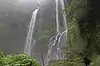 Sekumpul Waterfall ● Bali