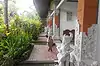 Padang Lovina Sea Side Cottages ● Bali