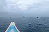 Dolphin Tour ● Bali