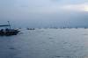 Dolphin Tour