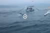 Dolphin Tour