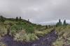 Mt Batur