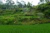 Rafting in Bali | Alam Amazing Adventures