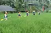 Rafting in Bali | Alam Amazing Adventures ● Bali