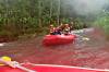 Rafting in Bali | Alam Amazing A