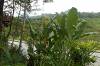 Tjendana Bintang Rafting