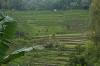 Tjendana Bintang Rafting