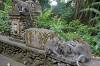 Sacred Monkey Forest Sanctuary