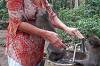 Sacred Monkey Forest Sanctuary