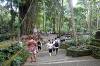 Sacred Monkey Forest Sanctuary