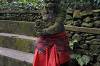 Sacred Monkey Forest Sanctuary