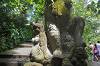 Sacred Monkey Forest Sanctuary