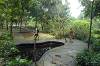 Sacred Monkey Forest Sanctuary