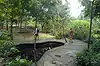 Sacred Monkey Forest Sanctuary ● Bali