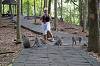 Sacred Monkey Forest Sanctuary