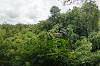 Sacred Monkey Forest Sanctuary