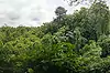 Sacred Monkey Forest Sanctuary ● Bali