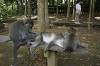 Sacred Monkey Forest Sanctuary