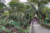 Sacred Monkey Forest Sanctuary