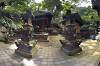 Sacred Monkey Forest Sanctuary