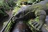 Sacred Monkey Forest Sanctuary