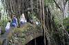 Sacred Monkey Forest Sanctuary