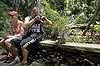 Sacred Monkey Forest Sanctuary ● Bali