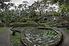 Goa Gajah ● Bali